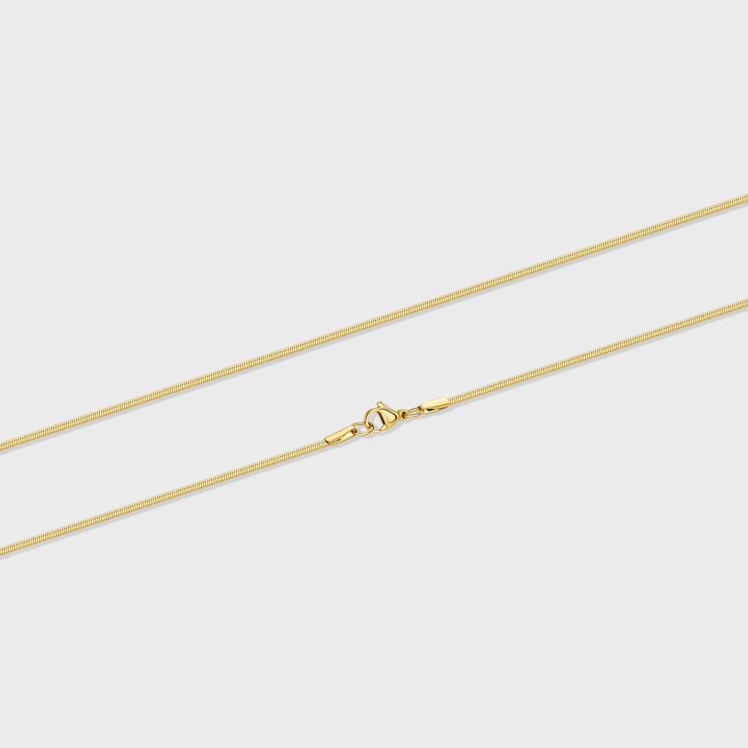 Women's Gold 2mm Flat Snake Chain