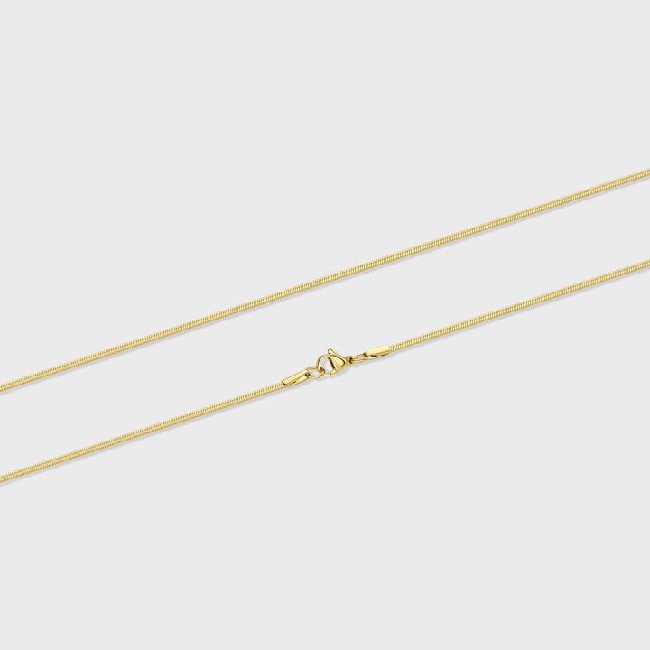 Women's Gold 2mm Flat Snake Chain